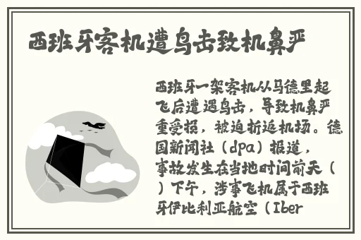 东南亚仙林棕林6一12岁幻儿交