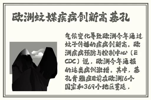 日韩卡一卡二卡三